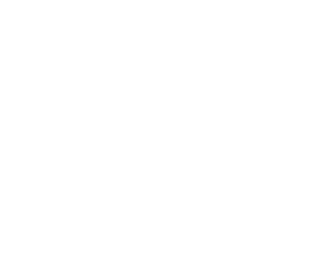 Partner Logo 2