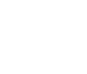 Partner Logo 4
