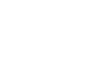 Partner Logo 6