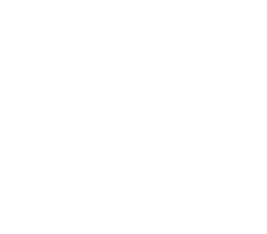 Partner Logo 21