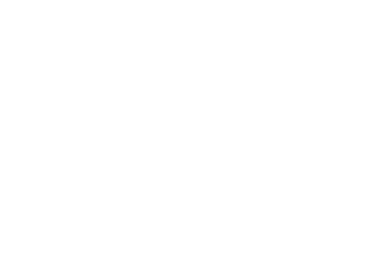 Partner Logo 9