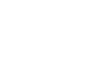 Partner Logo 17