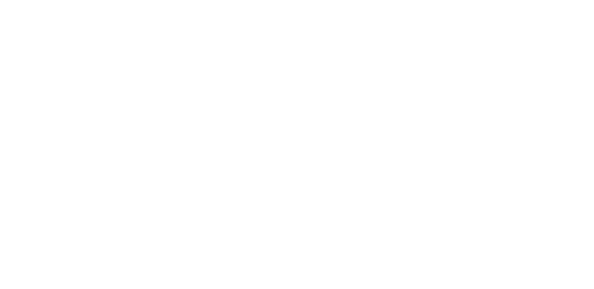 Partner Logo 1